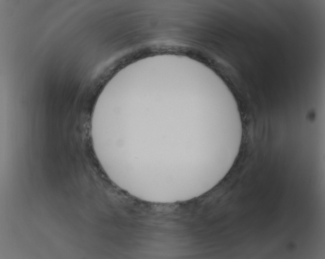 X0000115830870200912241954