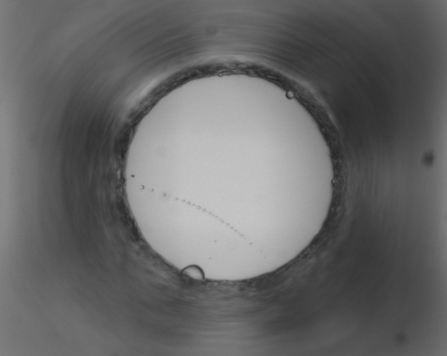 X0000115830871200912241954