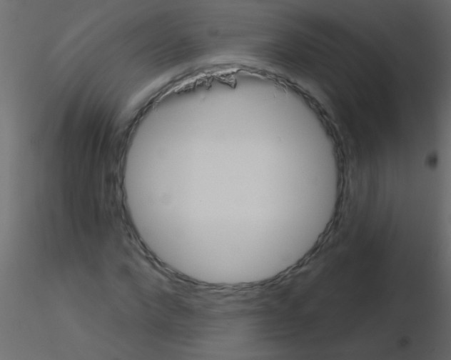 X0000115830872200912241954