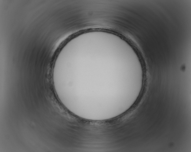 X0000115830875200912241954