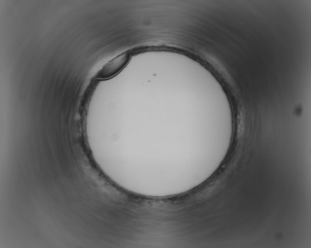 X0000115830876200912241954