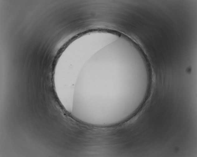 X0000115830877200912241954