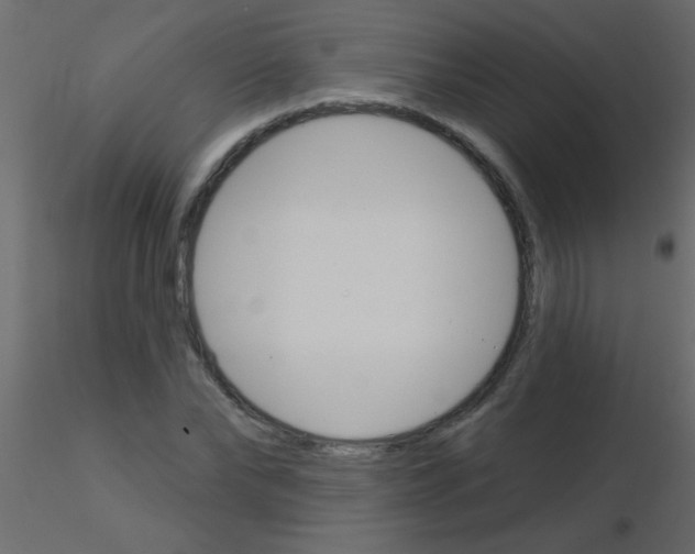 X0000115830878200912241954