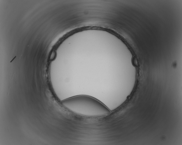 X0000115830880200912241954