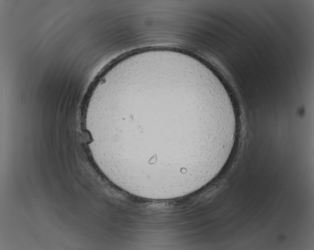 X0000115830883200912241953