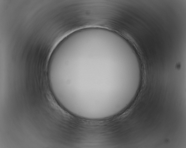 X0000115830884200912241953