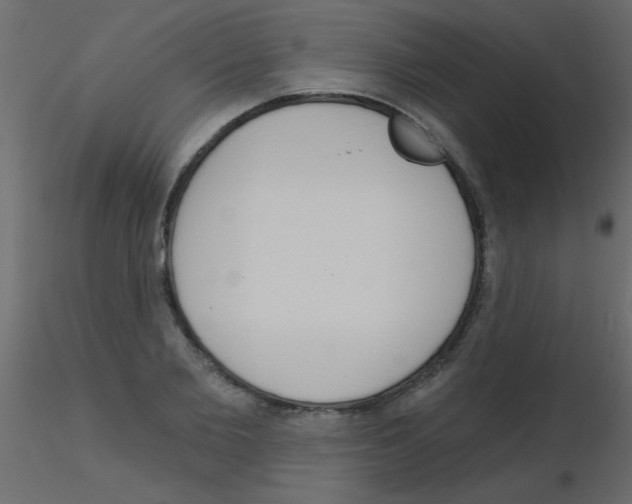 X0000115830885200912241953