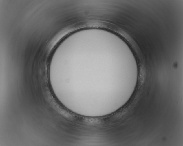 X0000115830886200912241953