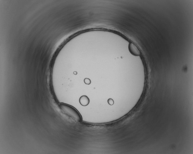 X0000115830888200912241953