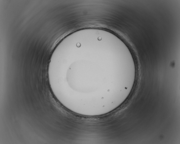 X0000115830889200912241953