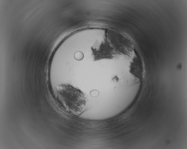 X0000115830891200912241953