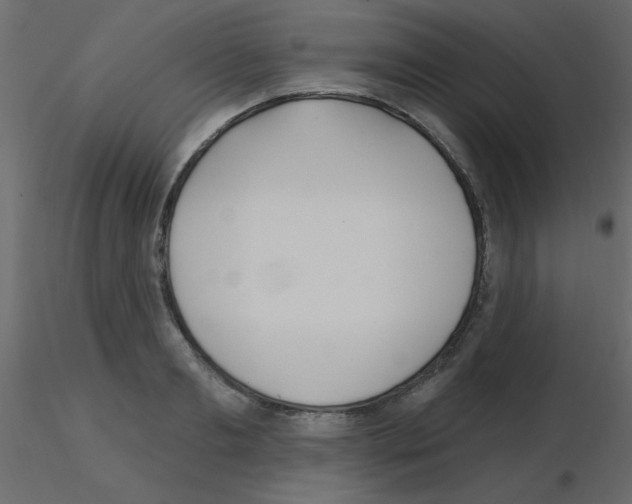 X0000115830893200912241953