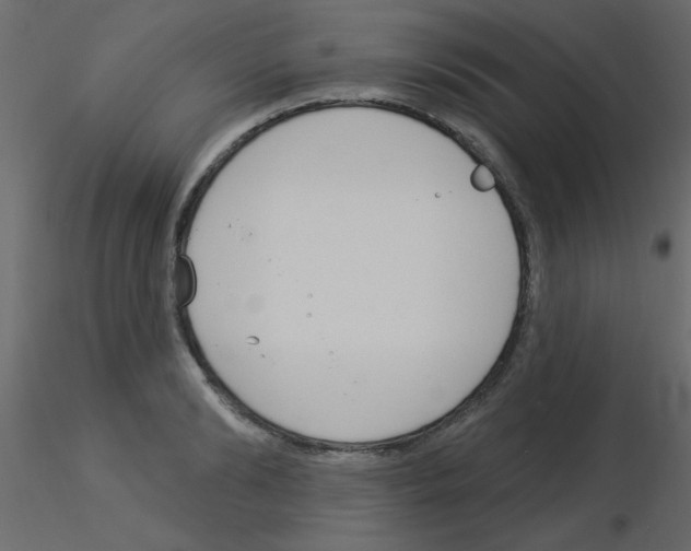 X0000115830894200912241953