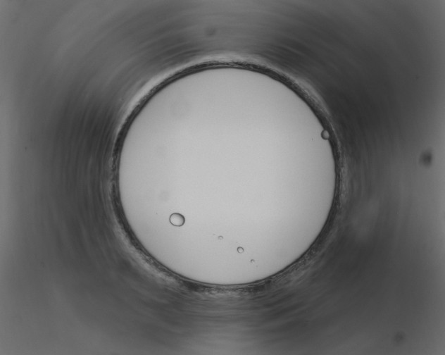 X0000115830895200912241953