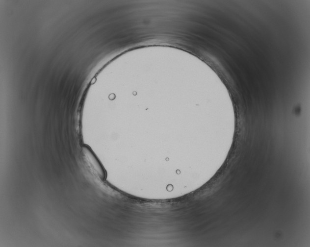 X0000115830900200912241953