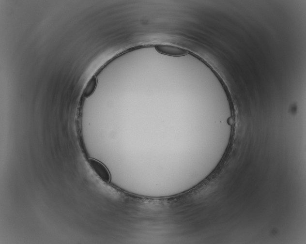 X0000115830901200912241953