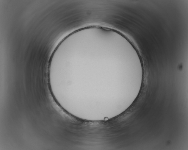 X0000115830903200912241953