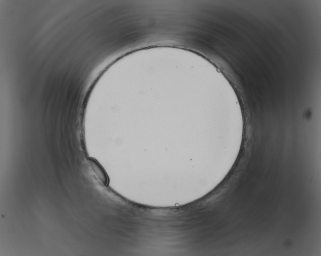 X0000115830904200912241953