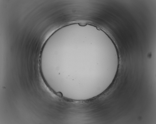 X0000115830906200912241953