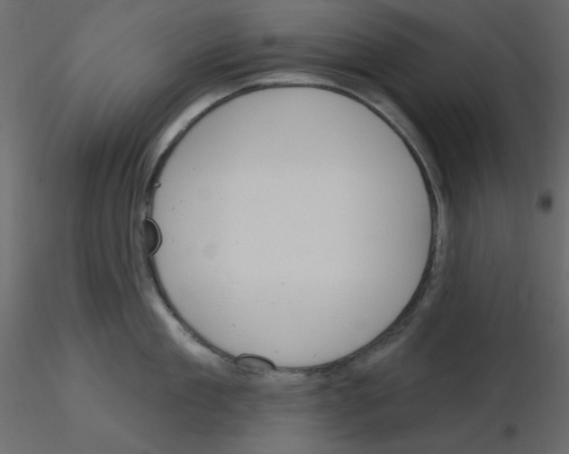 X0000115830909200912241953