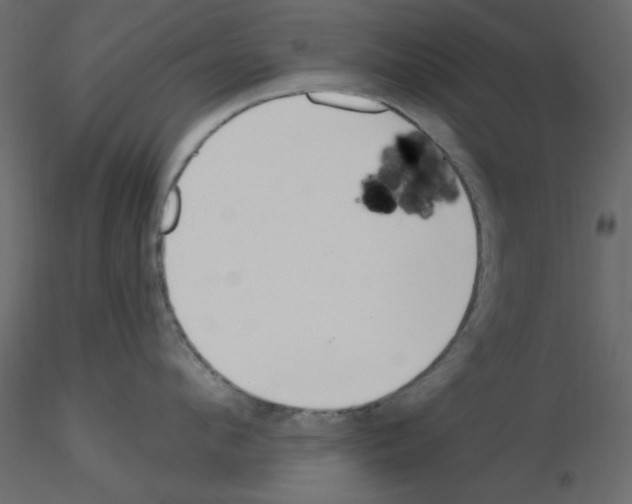 X0000115830912200912241953