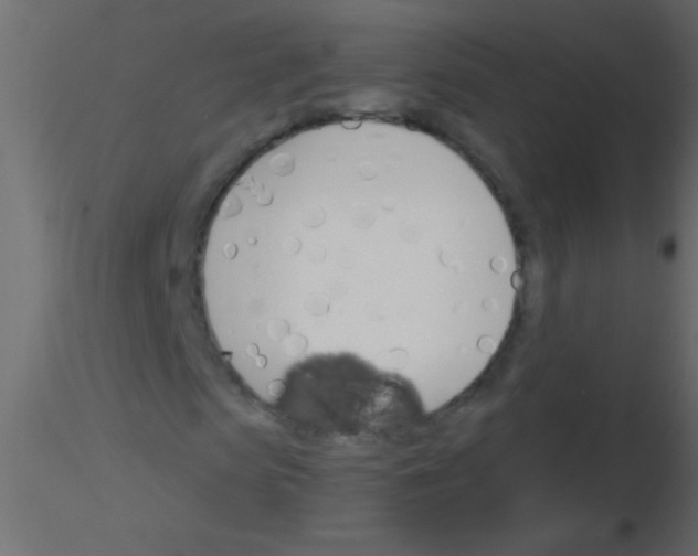 X0000115830913200912241952