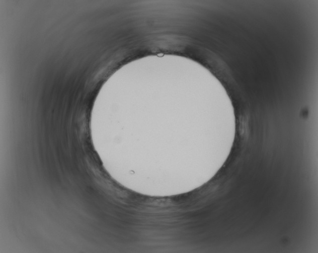 X0000115830915200912241952