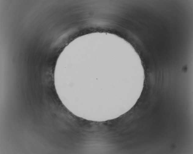 X0000115830918200912241952