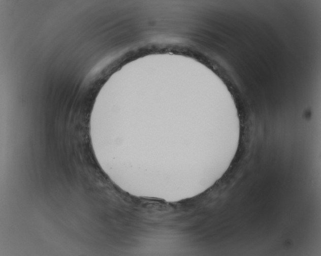 X0000115830919200912241953