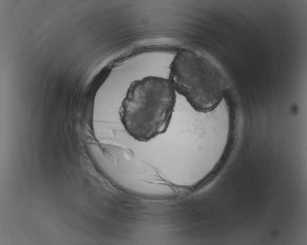 X0000115830921200912241953