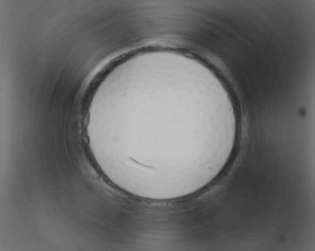 X0000115830923200912241953