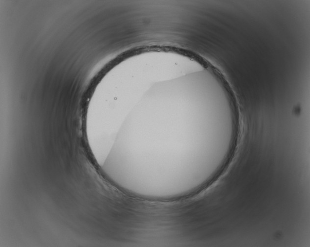 X0000115830925200912241953