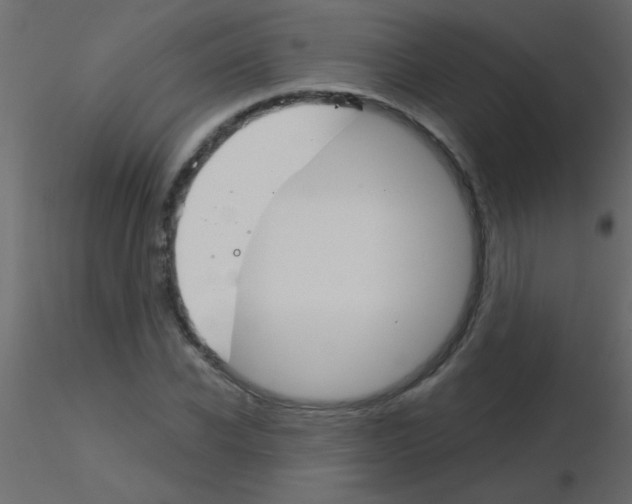 X0000115830926200912241953