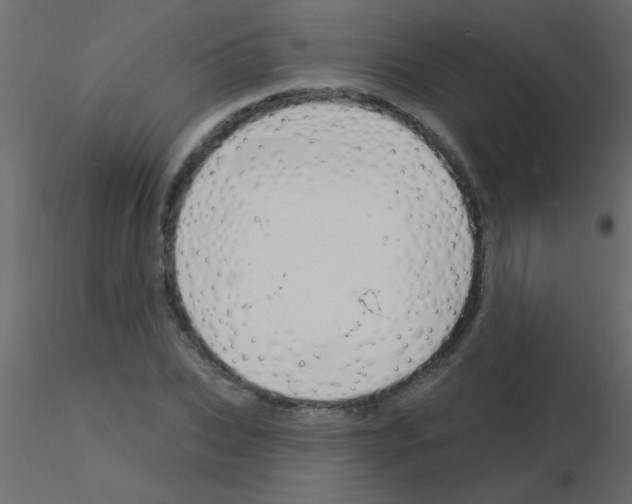 X0000115830927200912241953