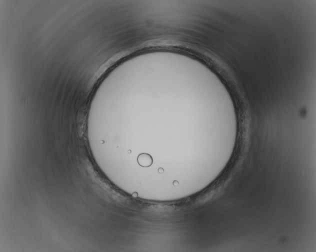 X0000115830929200912241953