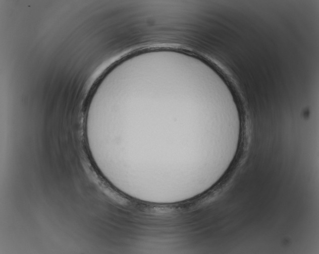 X0000115830933200912241953