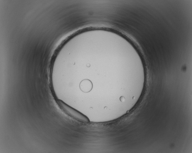 X0000115830935200912241953