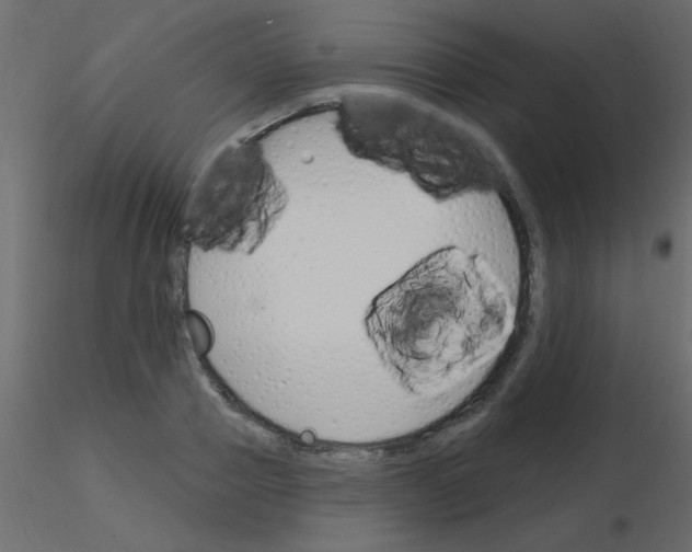 X0000115830937200912241953