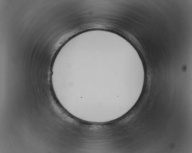 X0000115830938200912241953