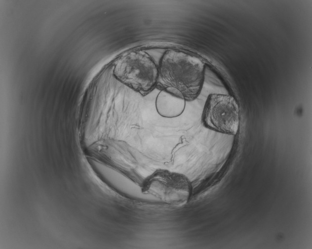 X0000115830941200912241953