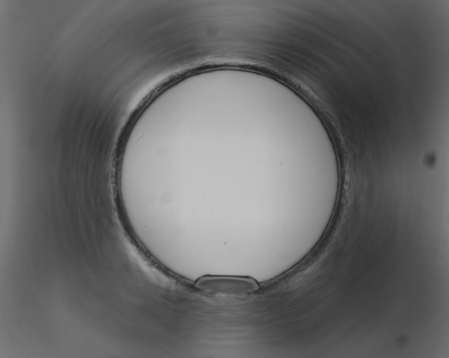 X0000115830942200912241953