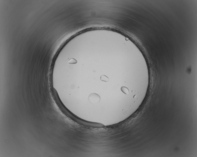 X0000115830943200912241953