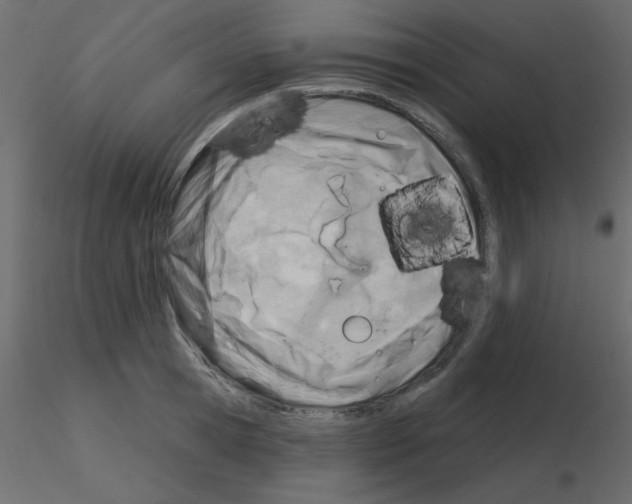 X0000115830945200912241953