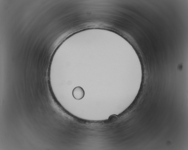 X0000115830946200912241953