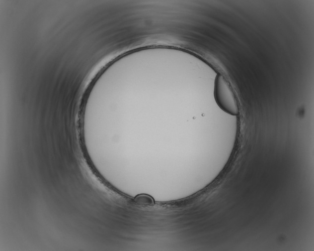 X0000115830947200912241953