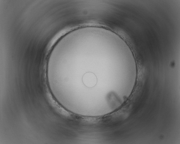 X0000115830950200912241953