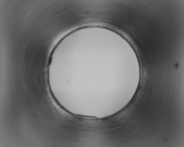 X0000115830951200912241953