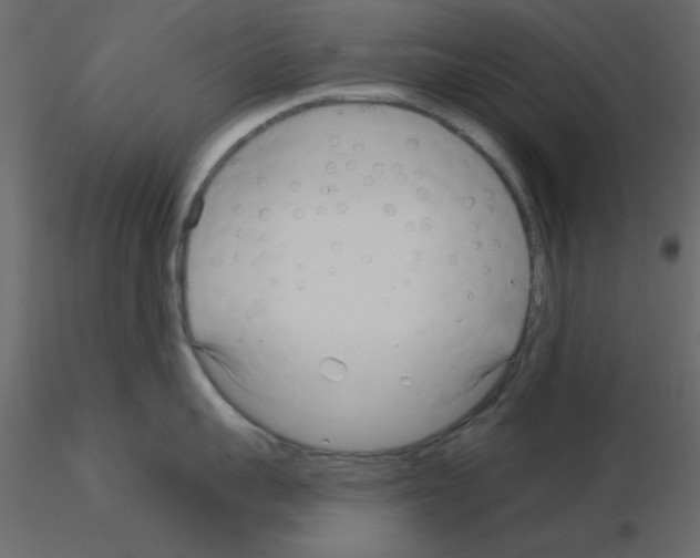 X0000115830959200912241953