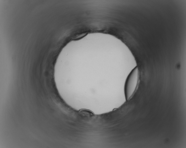 X0000115830961200912241952