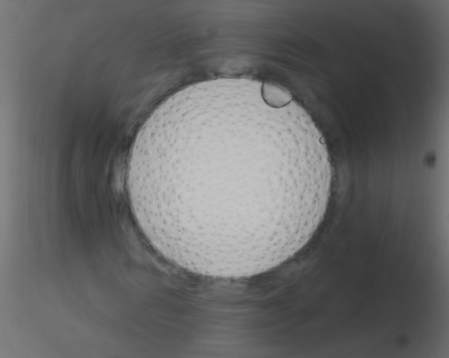 X0000115830962200912241952